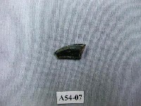 藏品(猴齒)的圖片